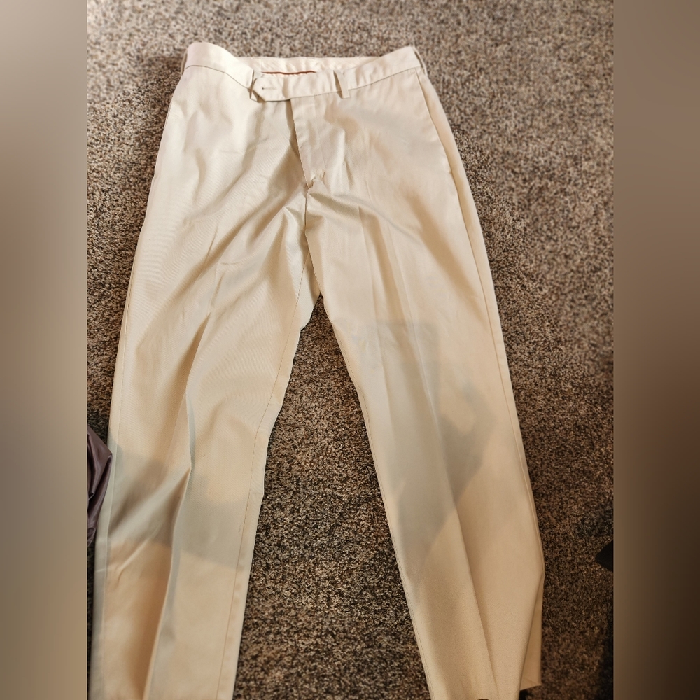 Dress pants